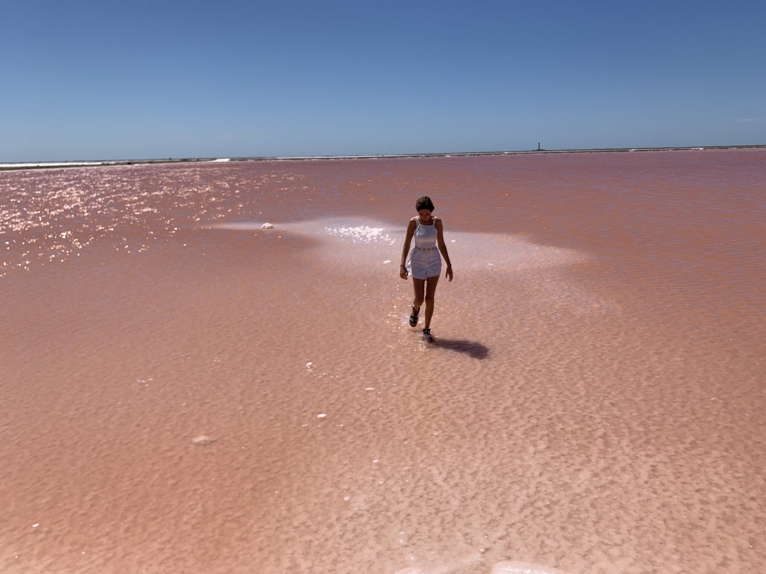 Pink Lake - Salzsee - Frankreich