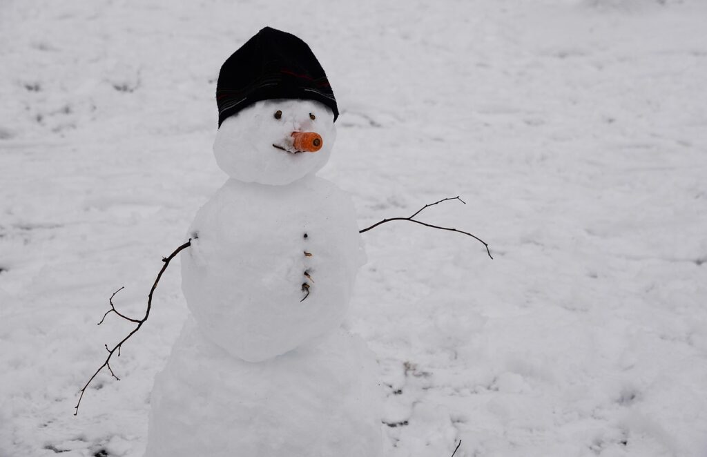 snowman, nature, winter, snow